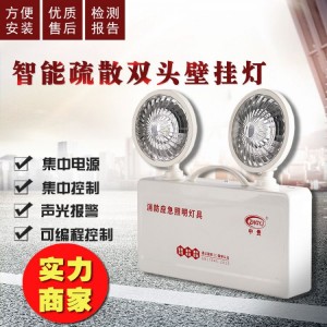 智能应急疏散照明灯 双头壁挂灯 应急消防灯具